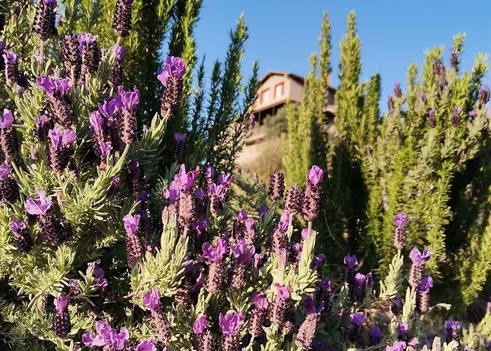 Hotel Lindos Garden Butik *