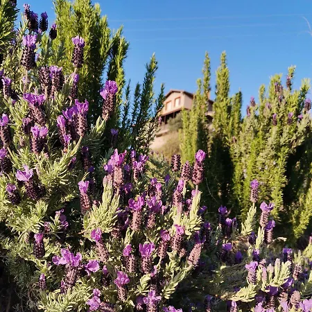 Отель Lindos Garden Butik *